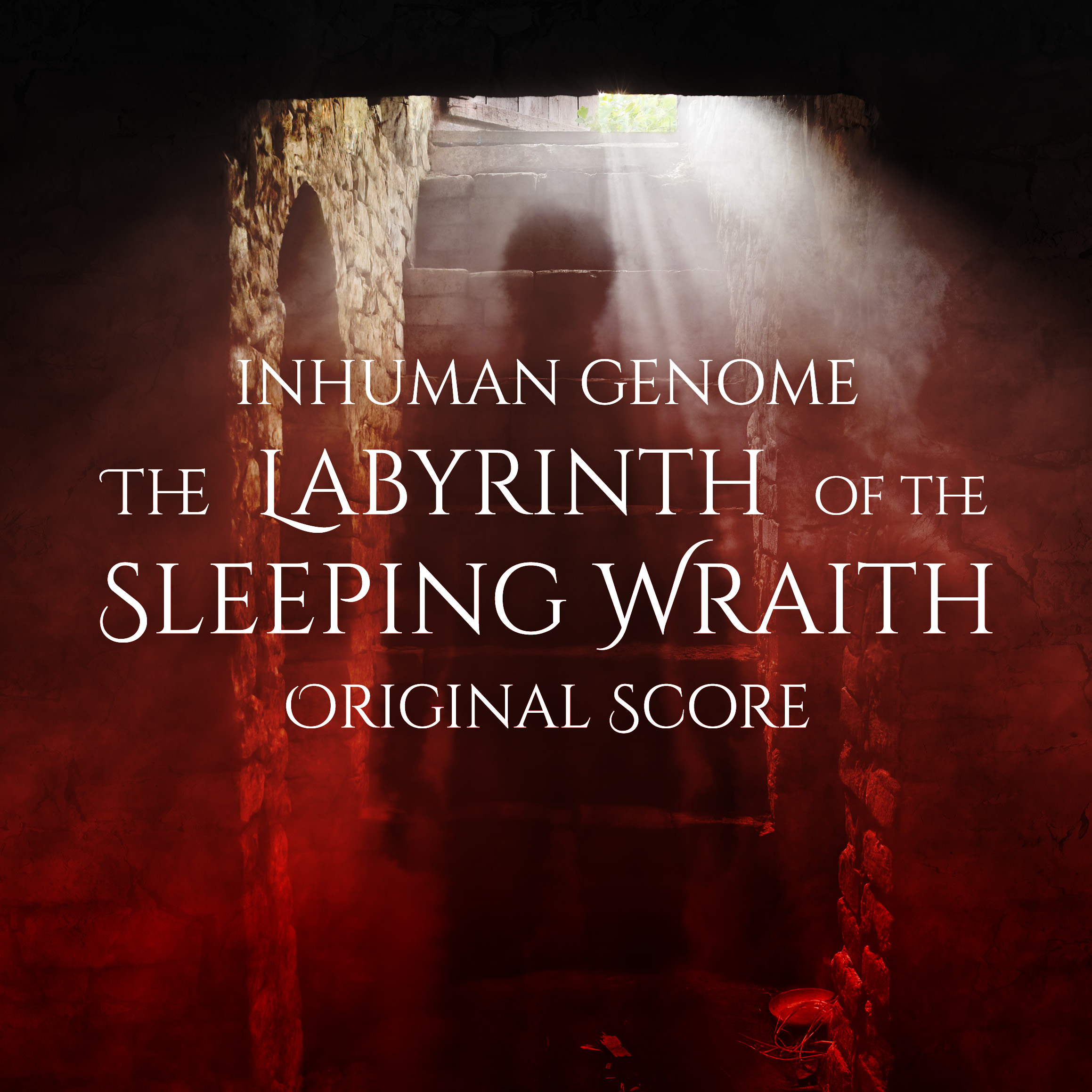 The Labyrinth of the Sleeping Wraith album cover